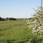 Standen Lodge Farm Campsite